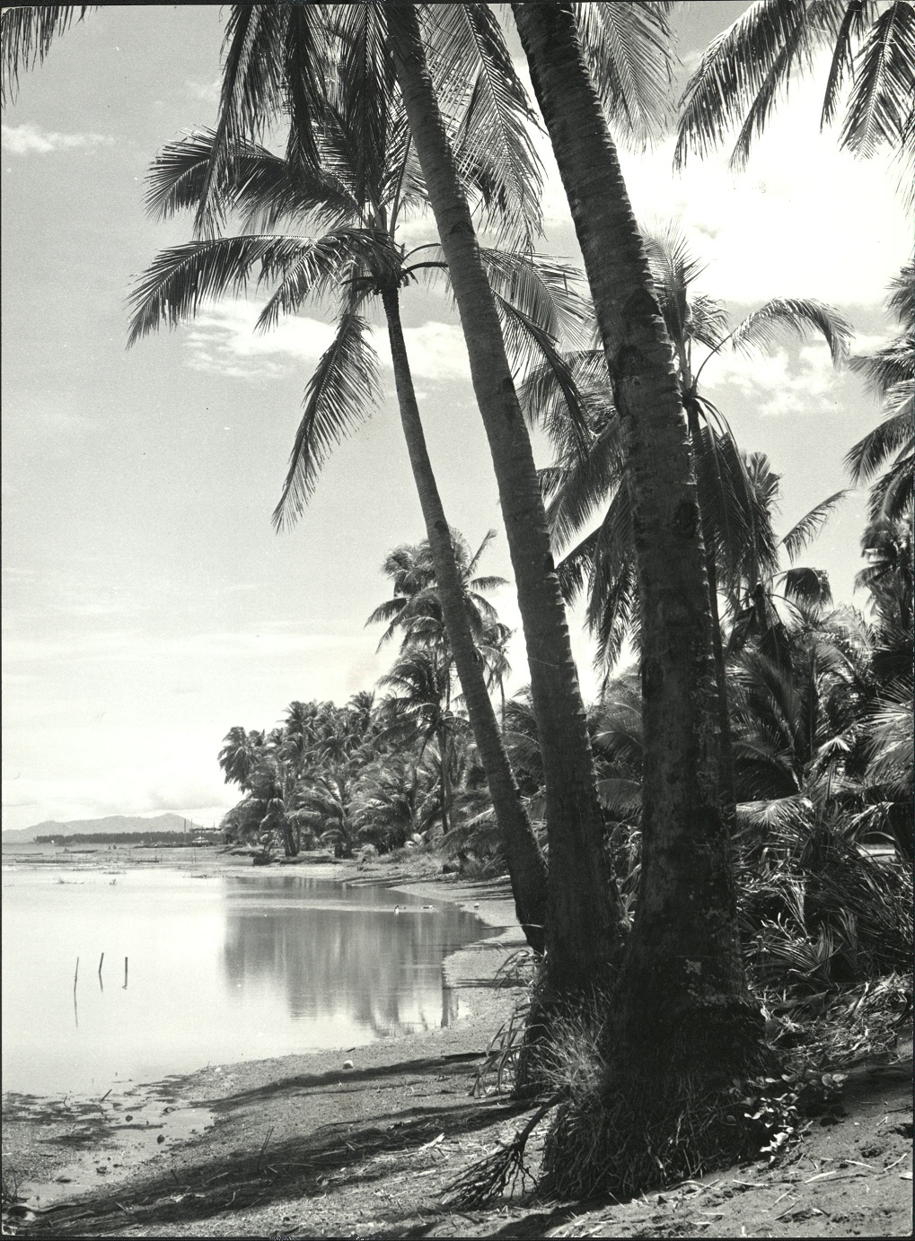 50. PHILIPPINES: Shore on the island [sic] of Iloilo.