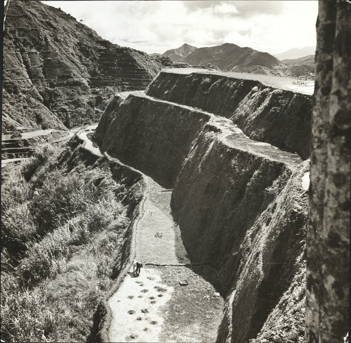 6. The rice terraces of the Ifugaos. (…)