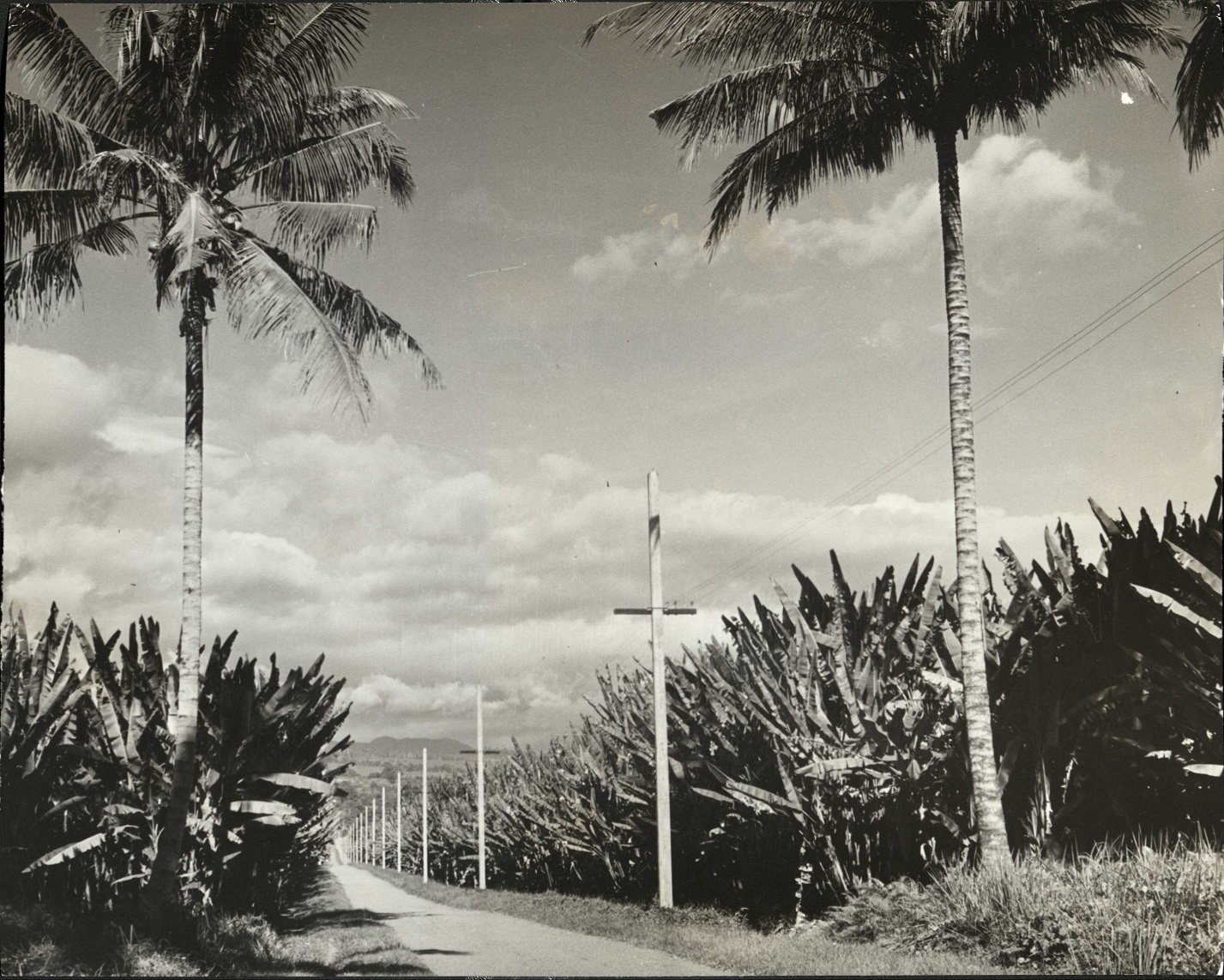 Road near Manila, Philippines.