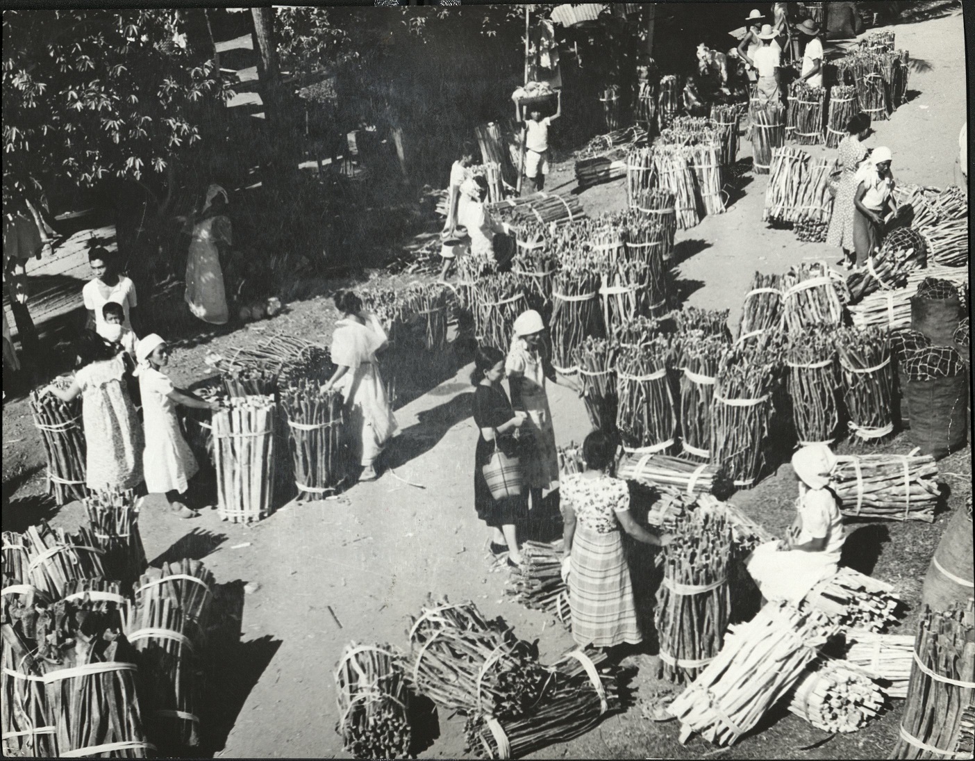 347. PHILIPPINES: Firewood in an open market in Baguio.