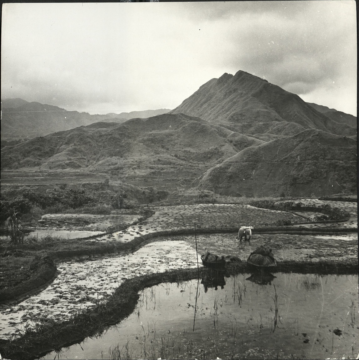 5. The rice terraces of the Ifugaos. (…)