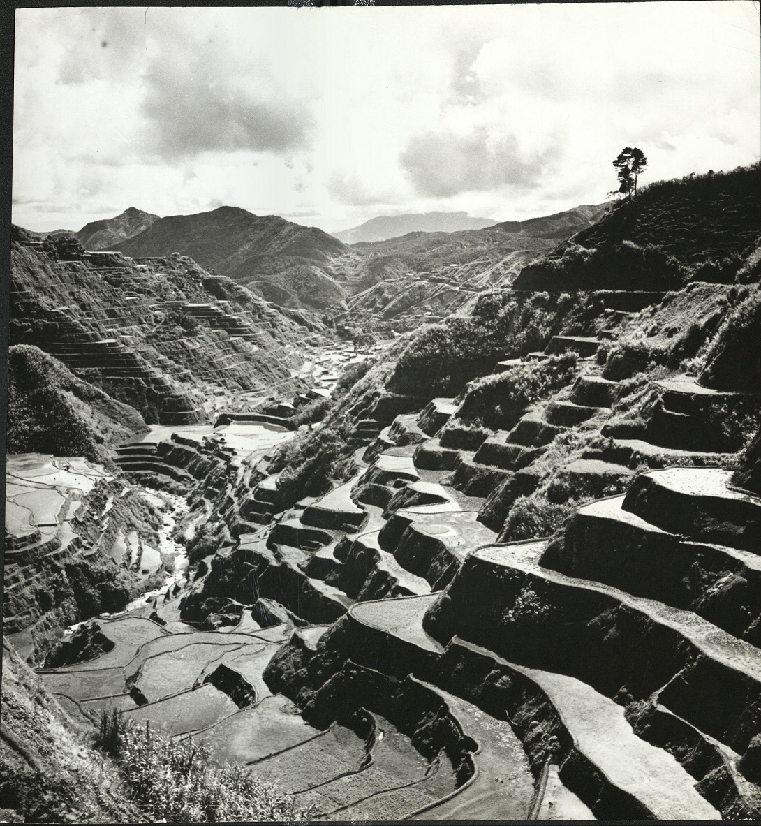 3. The rice terraces of the Ifugaos. (…)