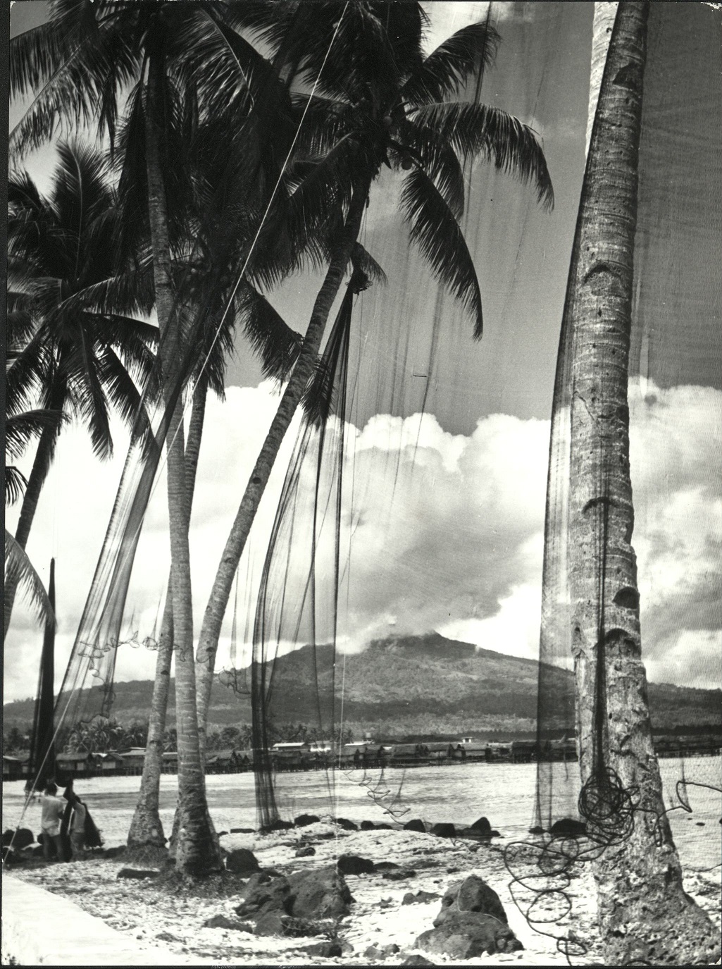34. PHILIPPINES: Sulu archipelago. Scene on the island of Jolo. The fishermen hang their nets on the palm trees to dry the nets.  Sammer 9980.