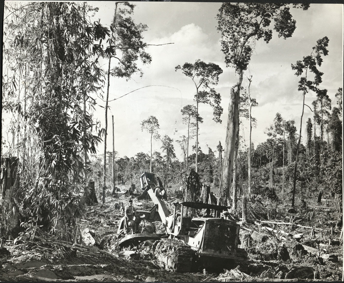 [Caption missing] – Logging operation.