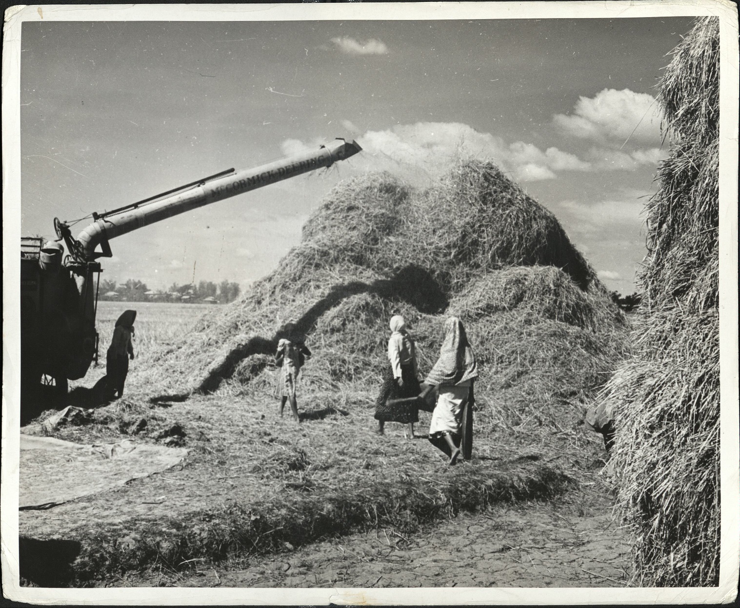 5. PHILIPPINES: The McCormick-Deering tractor at work in the rice fields in the Islands. (…)