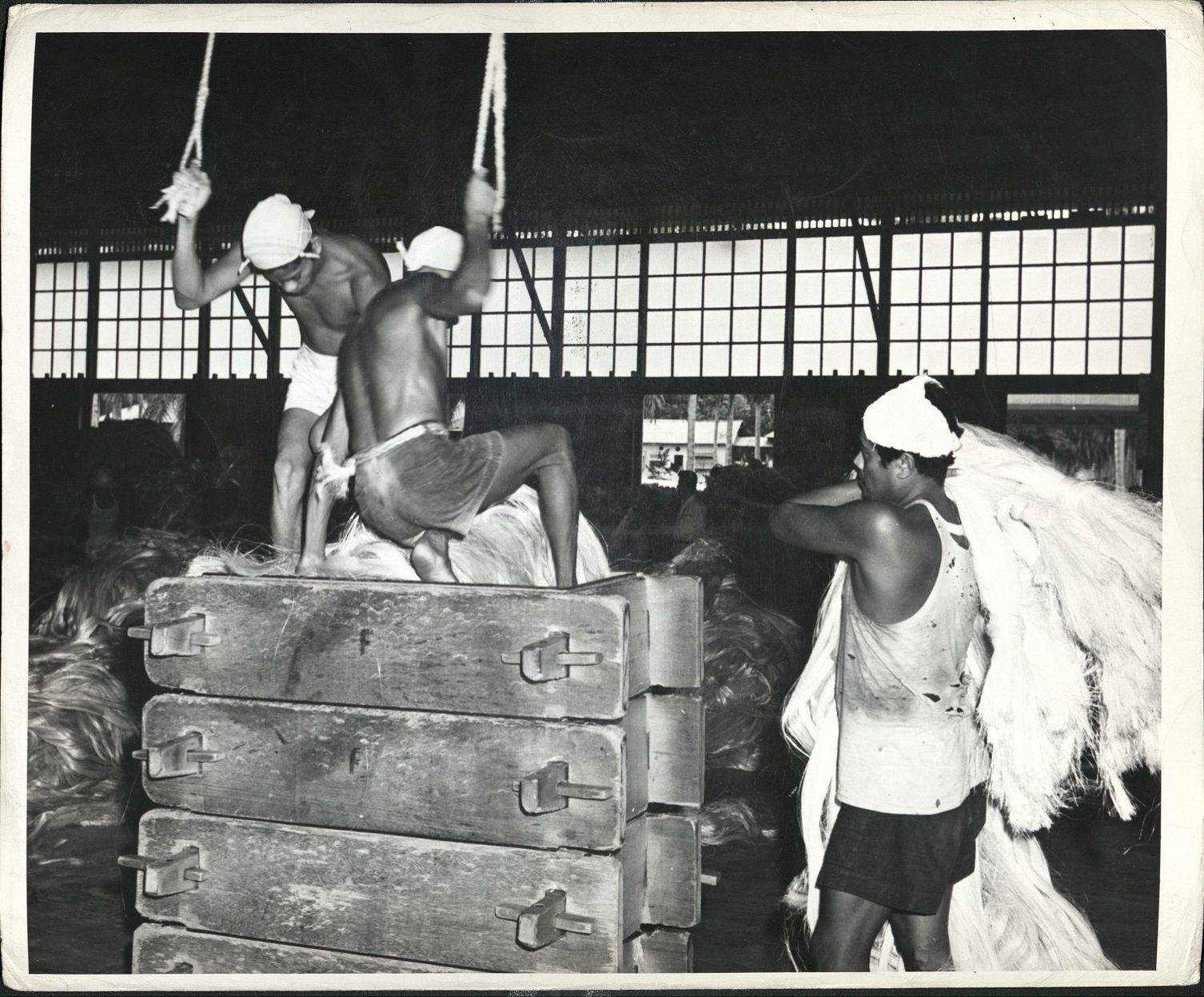 30. HEMP – PHILIPPINES: Hemp being pressed for baling and shipping. J-1214.