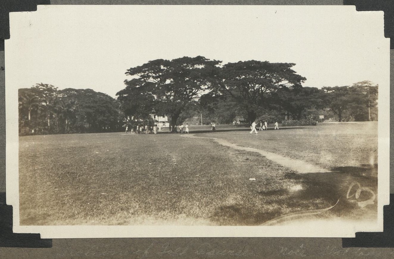 Section of golf course. Note flat tops of trees.