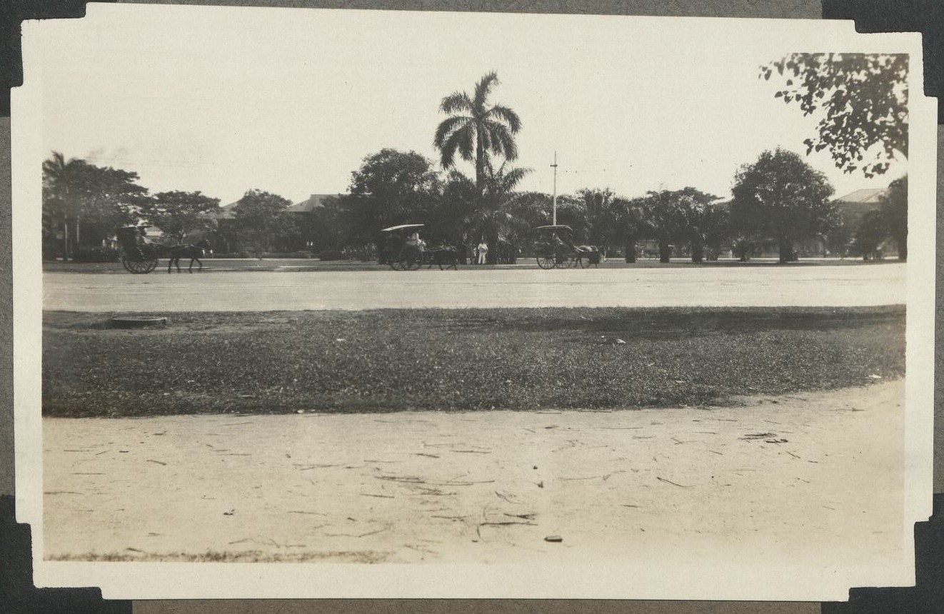 “Caromatas” – true tropical background. “Note small horses.”