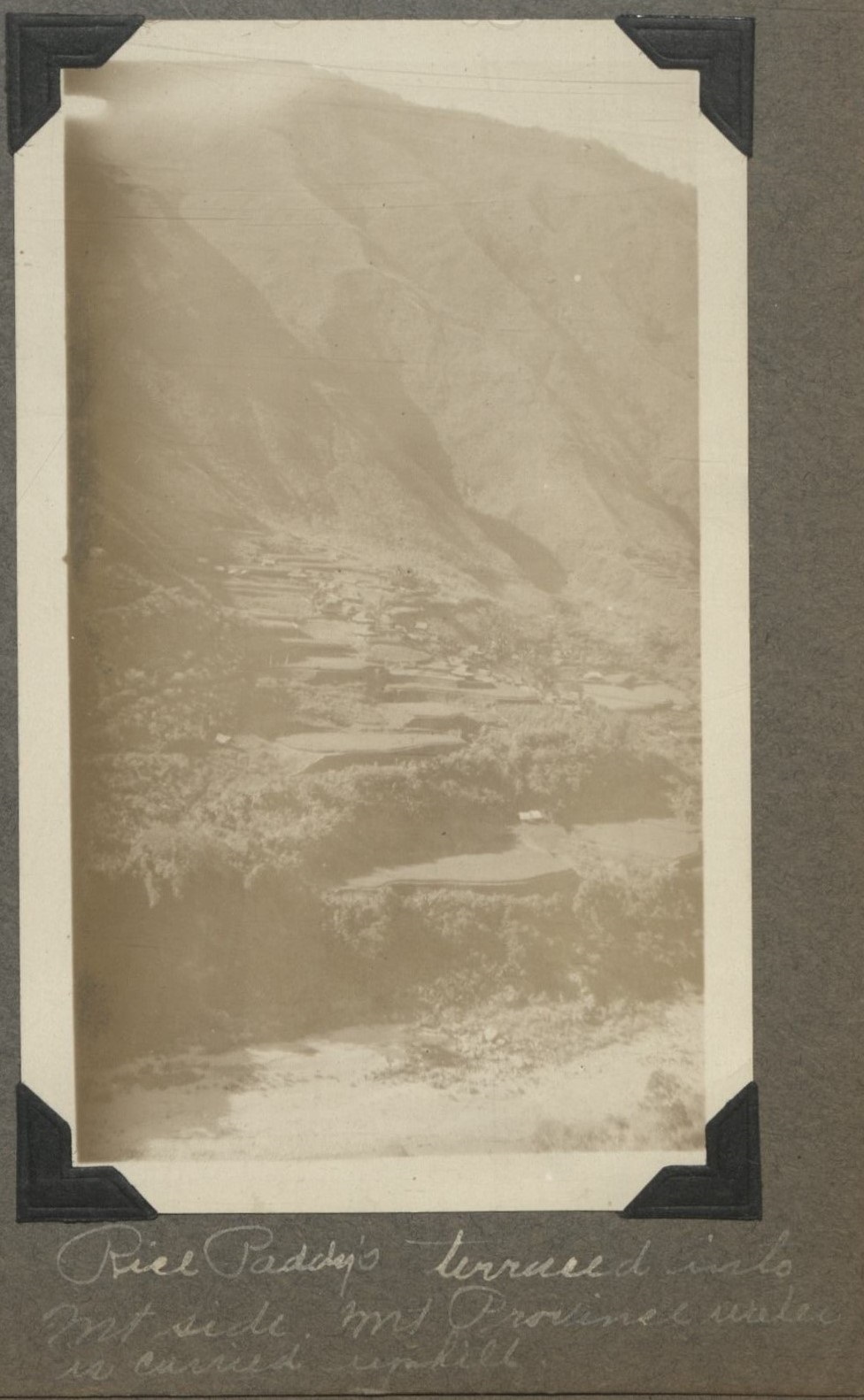 Rice paddy terraced into mt. side, Mt. Province. Water is carried uphill.