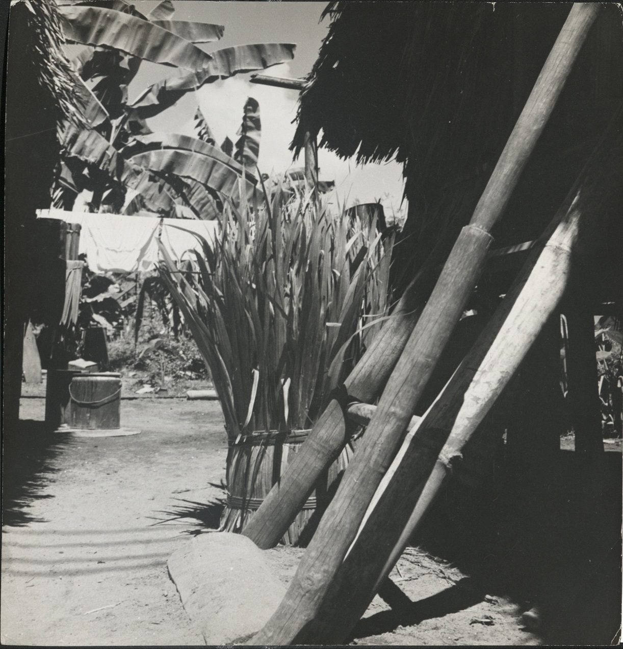 P 76a. Doorway of a Filipino hut in Leyte, P. I. The long pole in the foreground is a wooden pestle used to grind grain in a hollow log.