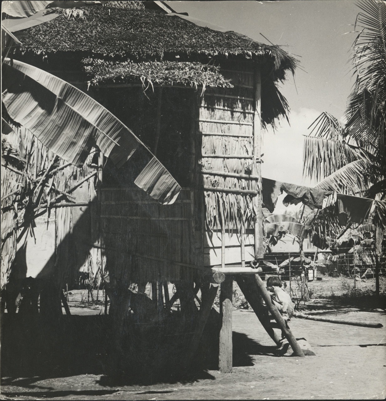 P 76b. Filipino child sits on the wooden ladder used instead of steps to enter the thatched huts on Leyte.