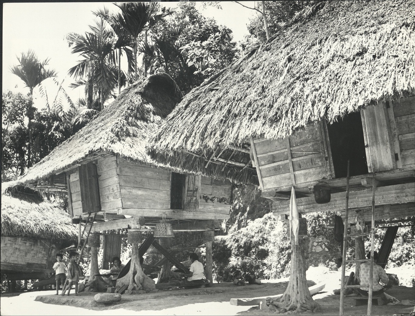 14. PHILIPPINES: Island of Luzon. Huts of the mountain-farmers (rice-farmers) in the mountains of the “Mountain Province,” north of Manila. (…)