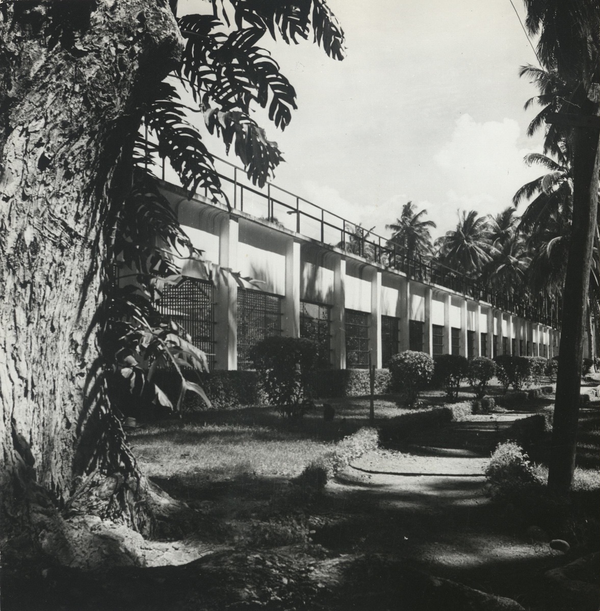 37. PHILIPPINES, Zamboanga: San Ramon Penal Colony. There most of the trustees live in little shacks outside the prison and have their families with them.  E 1214.