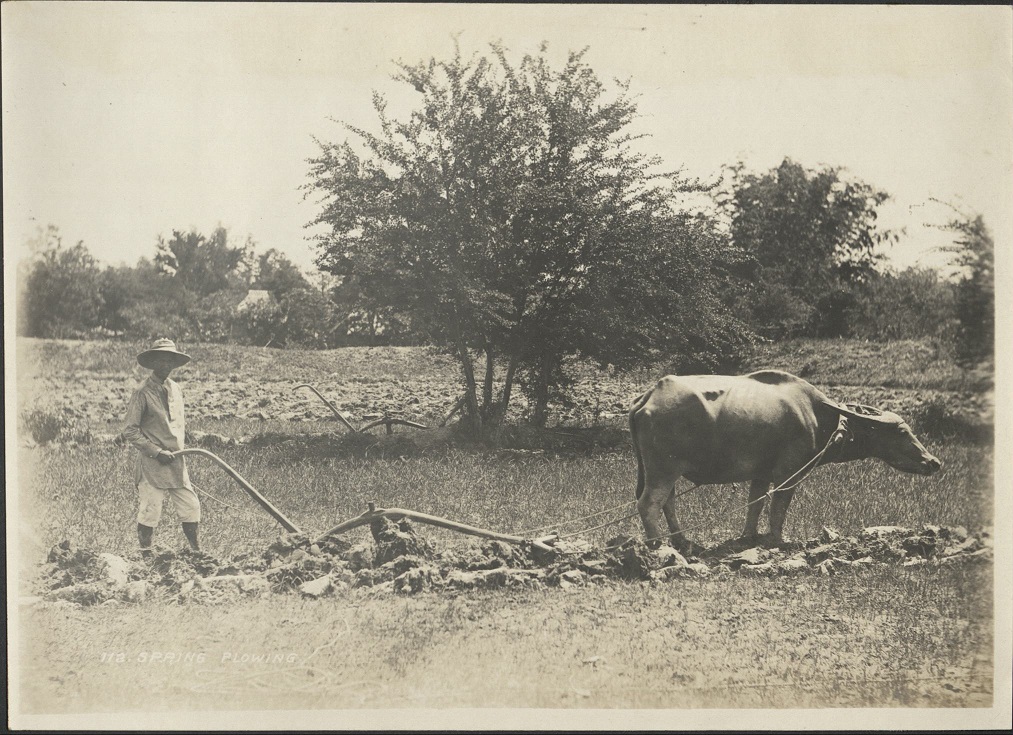 112. Spring plowing.