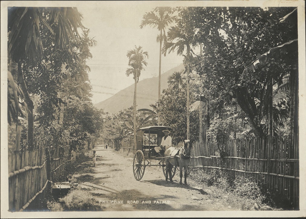 Philippine road and palms.