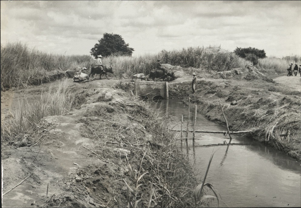 Nueva Ecija, Philippines. Irrigation, road projects.