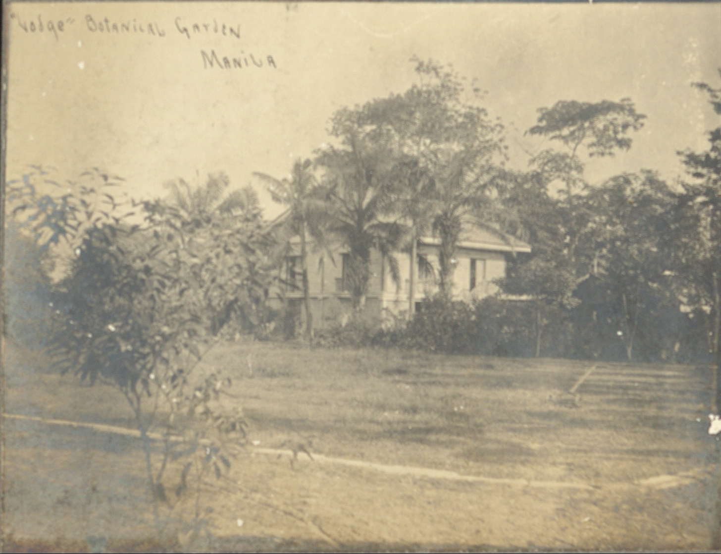 “Lodge,” Botanical Garden, Manila.