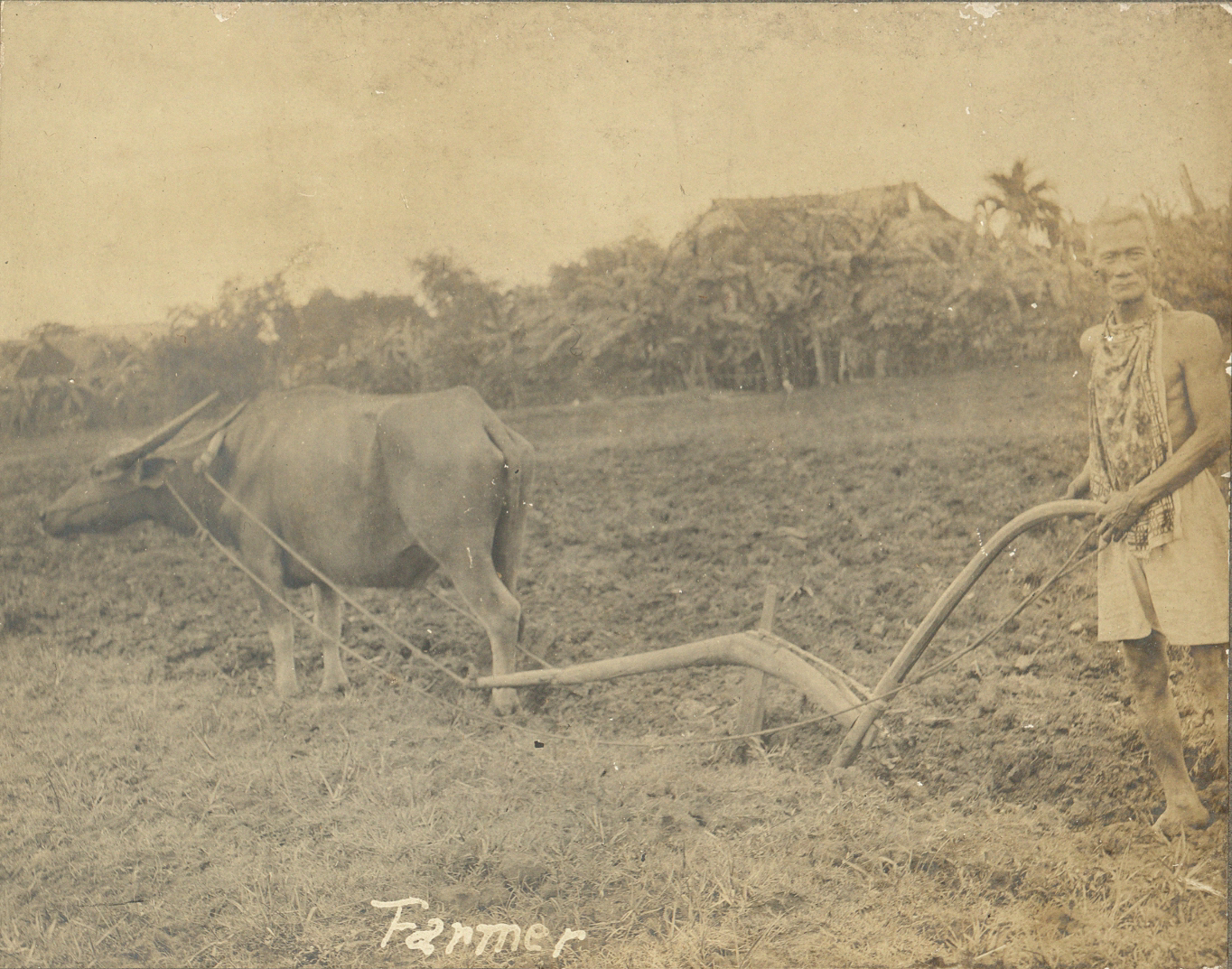 Farmer.