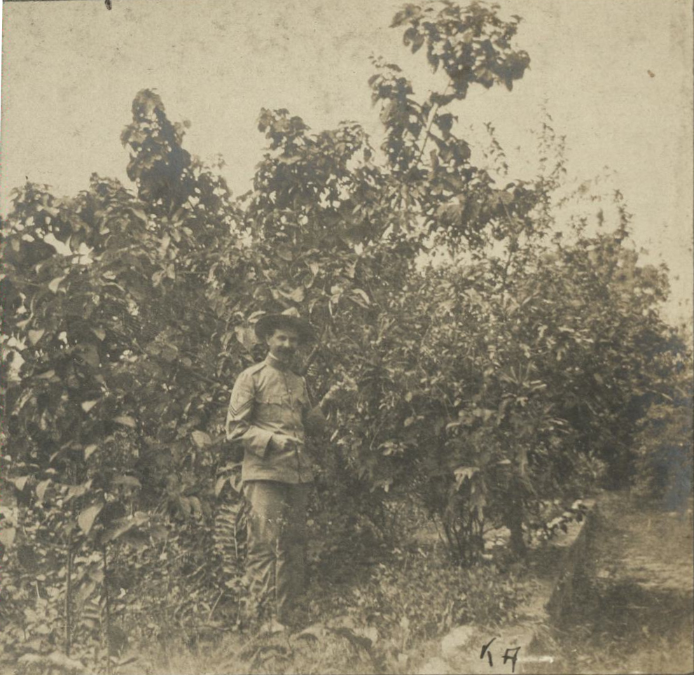 K.A. (U.S. sergeant poses holding tree branch].