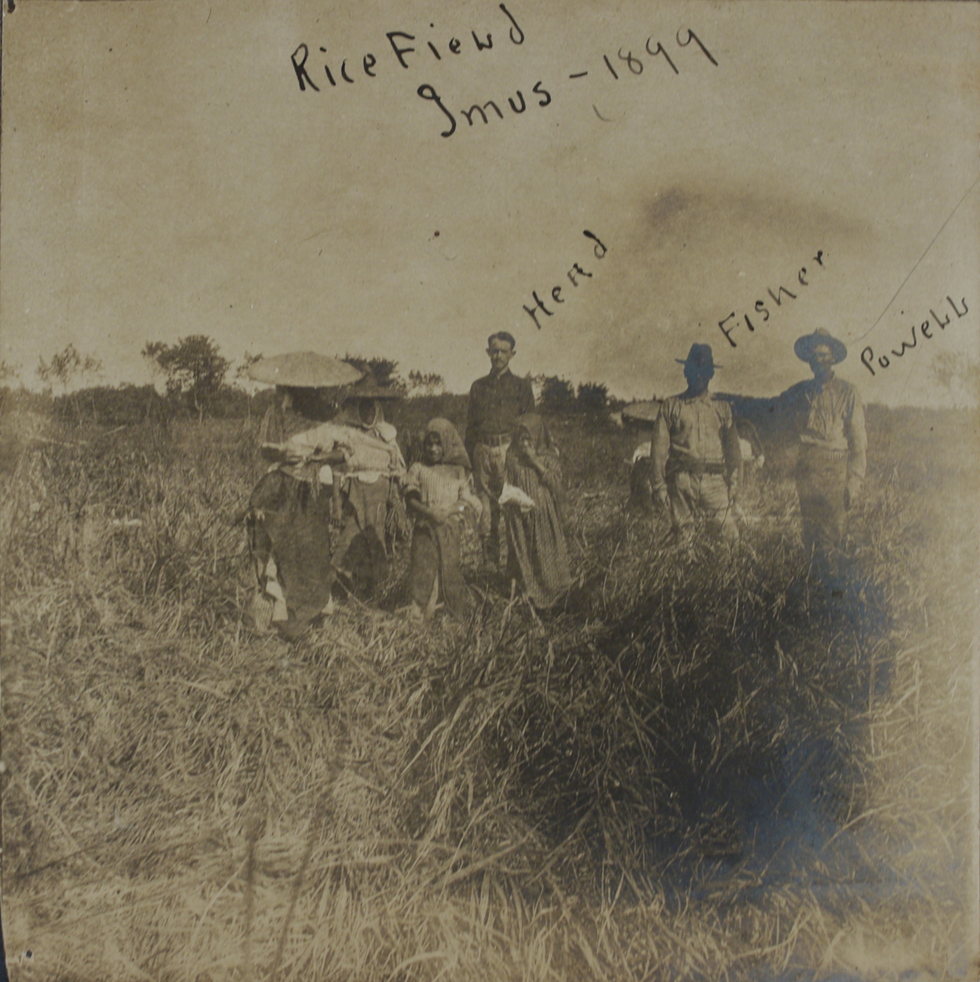 Head – Fisher – Powell [and Filipinos], Rice field, Imus [Cavite], 1899.