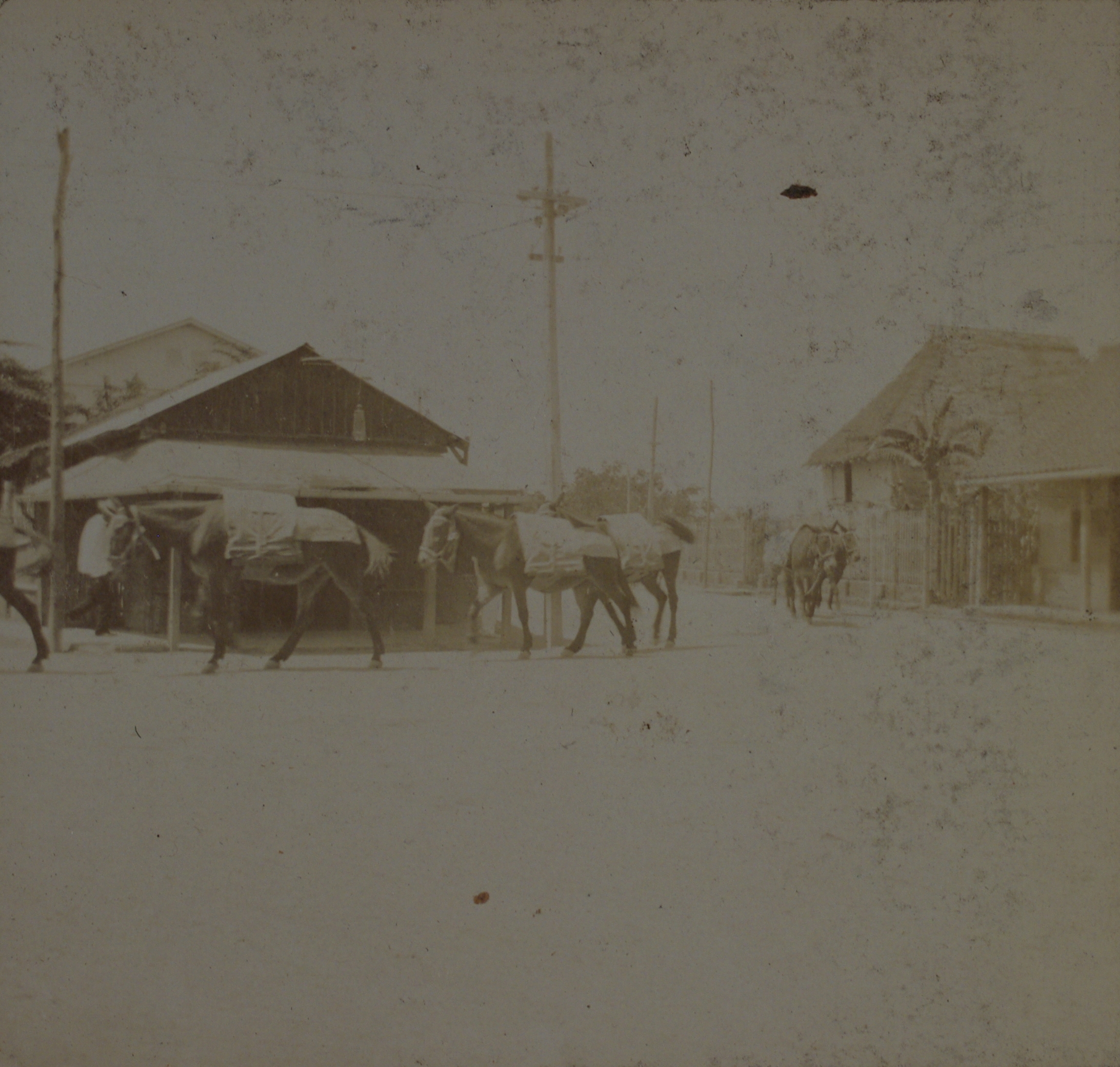 [Untitled – Pack train on streets of a town].
