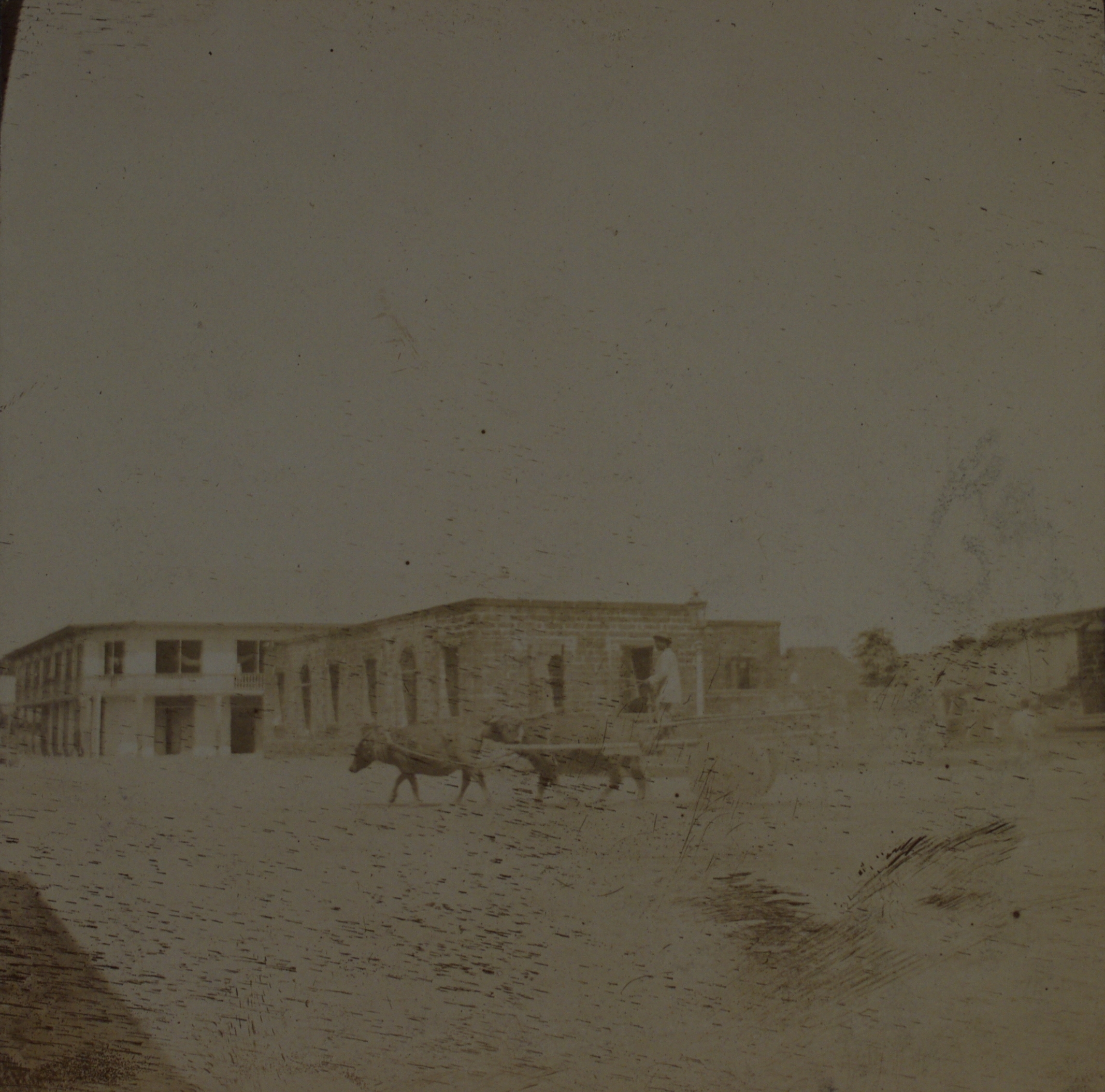 [Untitled – Carabao, cart, and buildings].