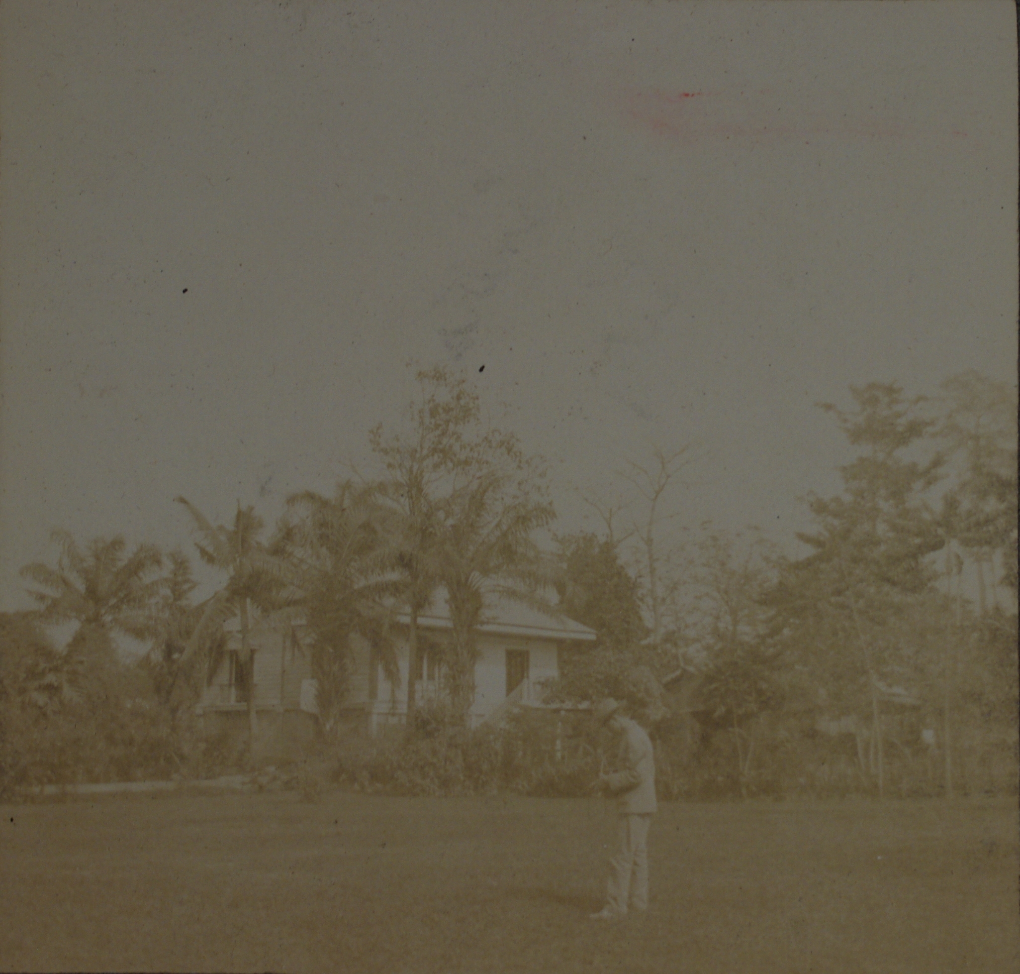 [Untitled – Mehan Gardens, botanical garden, Manila].