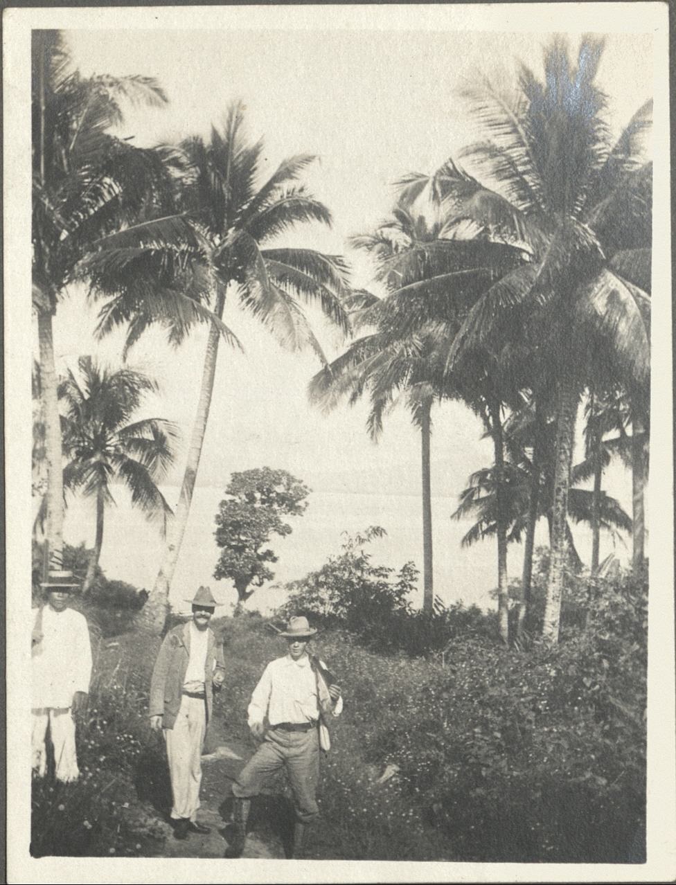 Scene near Tabaco.