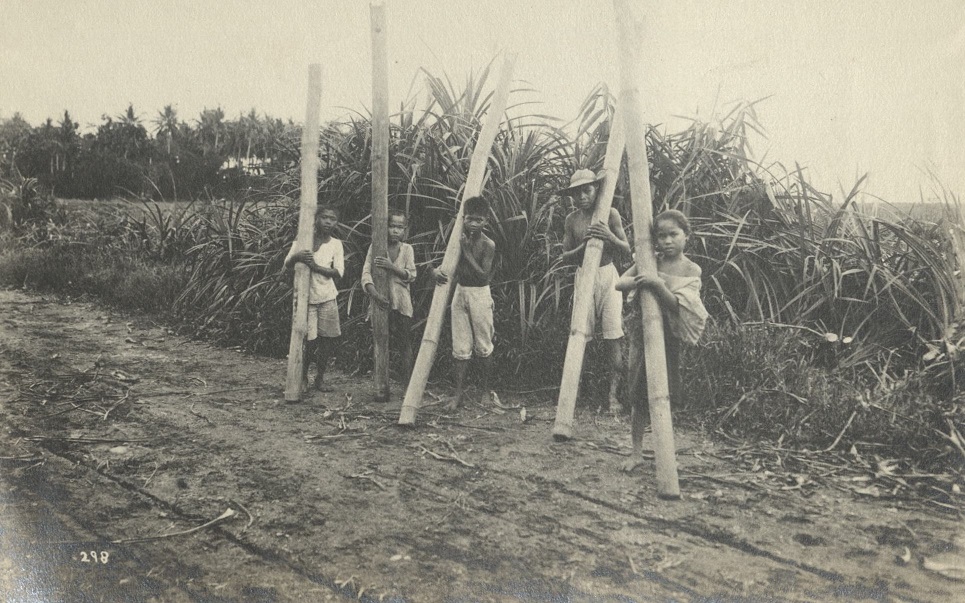 Water carriers in the Province of Albay.