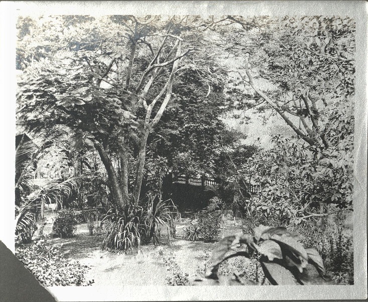 Another view in grounds [Santa Ana].