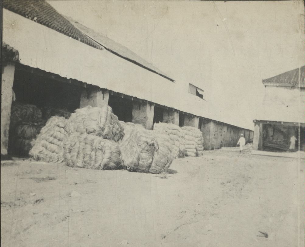Hemp godowns [abaca warehouse] at Legaspi.