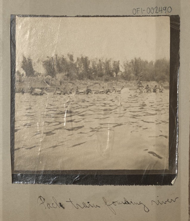 Pack train fording river.
