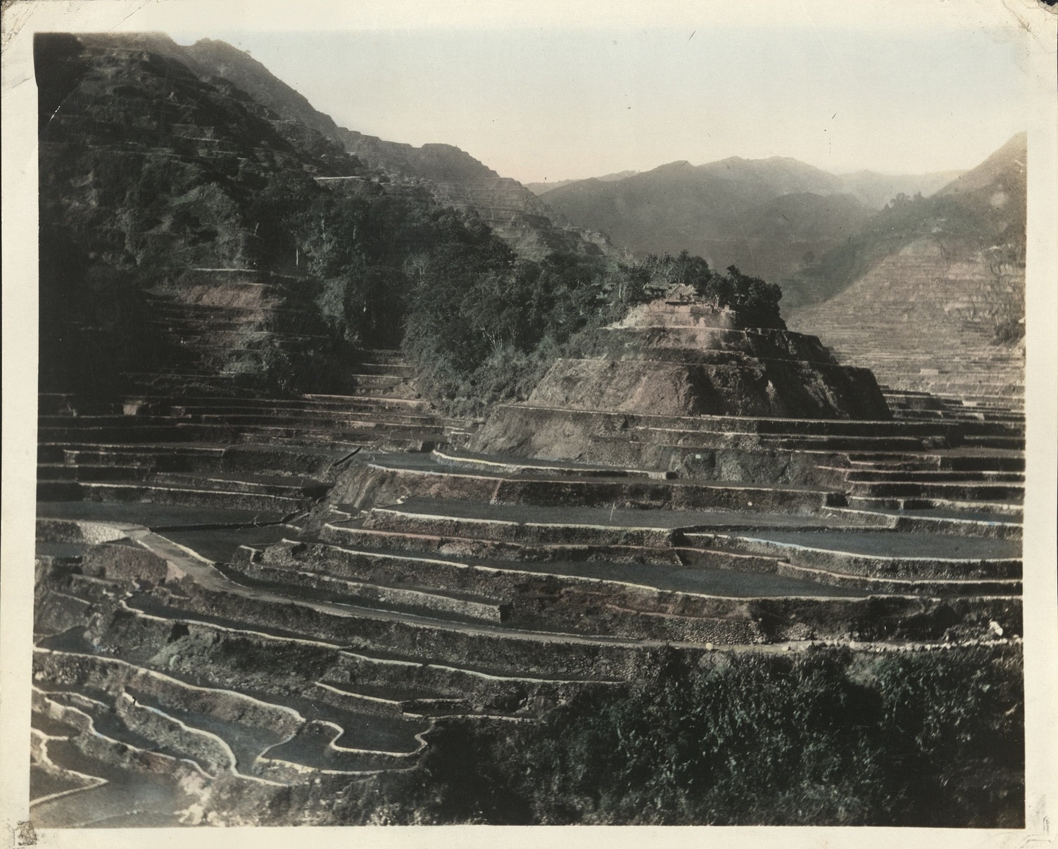 [Untitled – Rice terraces of Northern Luzon].