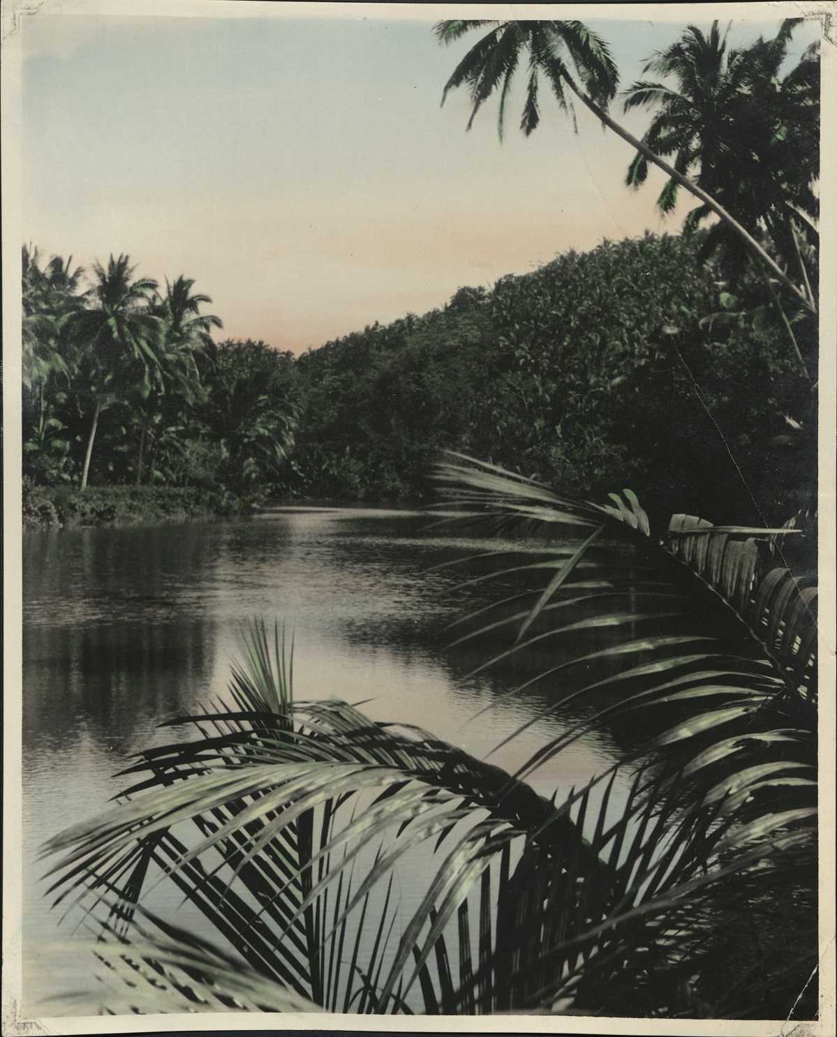 [Untitled – River view seen through palm fronds].