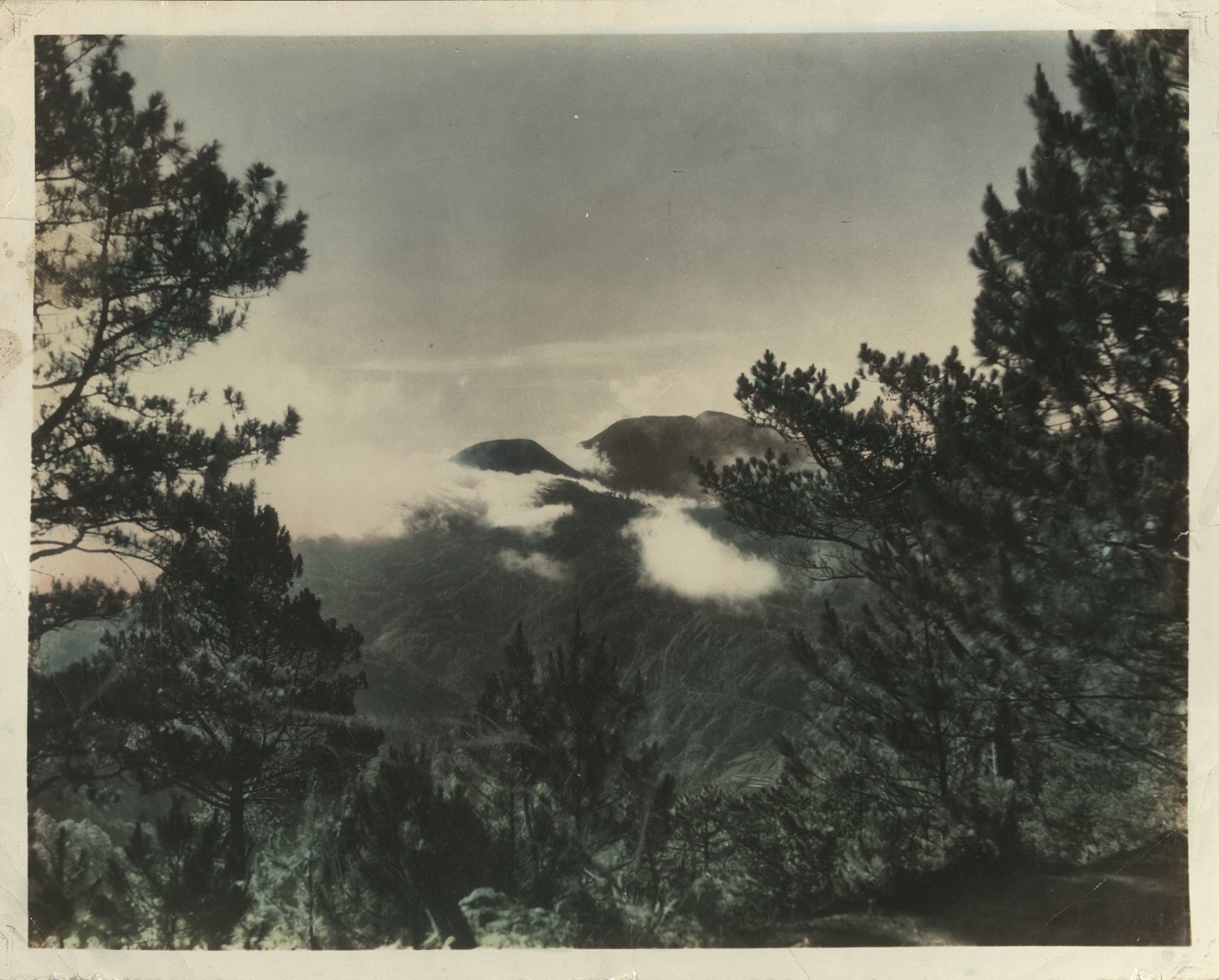 [Untitled – Pine trees, mountains and clouds in Northern Luzon].