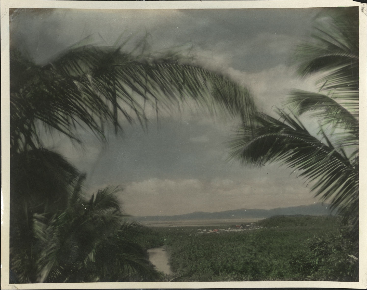 [Untitled – River and coconut plantation, likely Pagsanjan, with Laguna de Bay in distance].