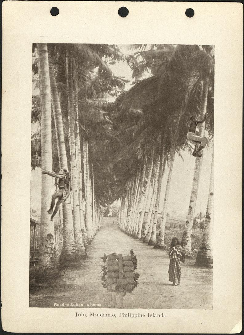 Road to Sultan’s home. Jolo, Mindanao, P. I.