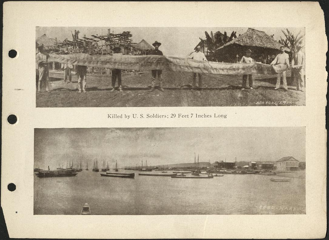 (Top) Killed by the U.S. soldiers, 29 feet and 7 inches long. Boa constrictor. (Bottm) Cebu harbor.