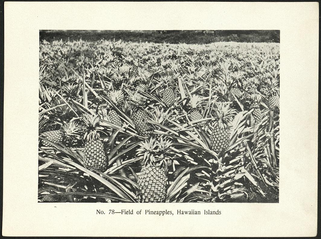 No. 44 – Market scene (Philippine Islands).