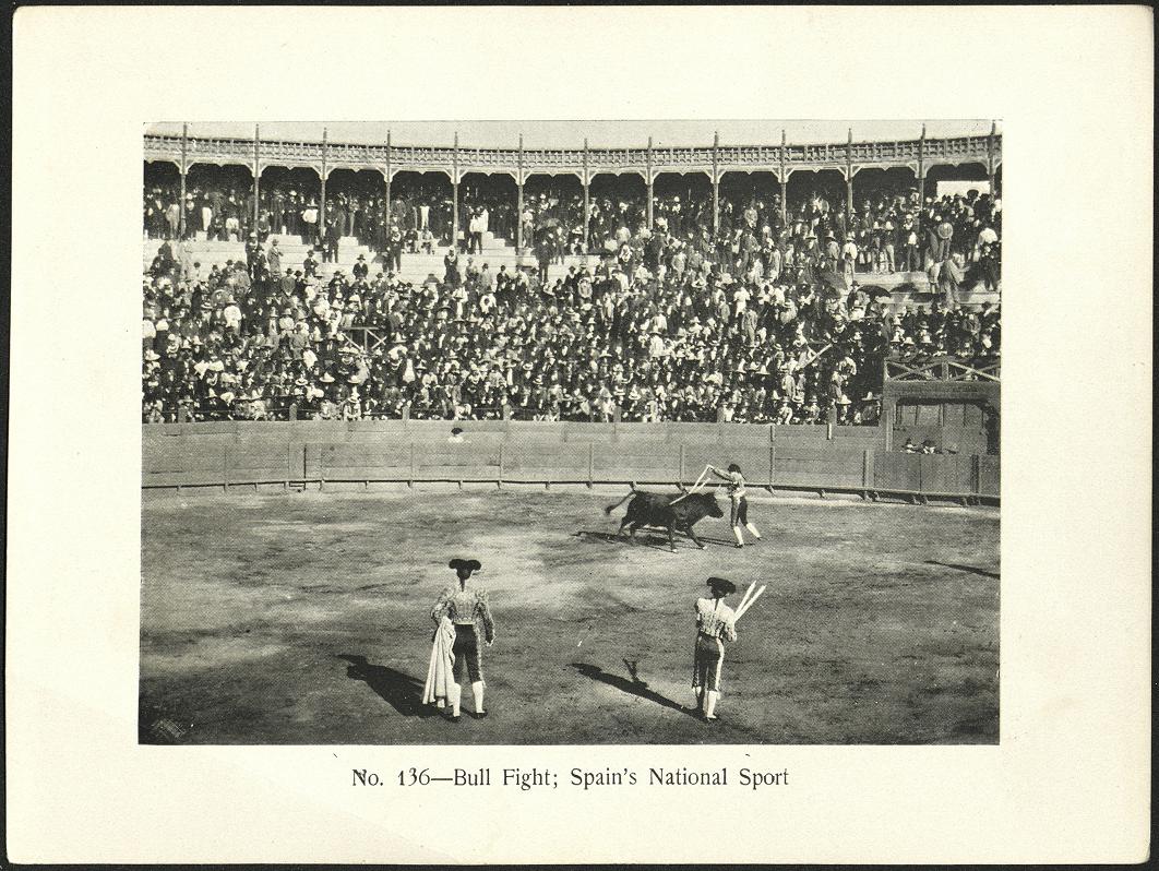 No. 136 – Bull fight :  Spain’s national sport.
