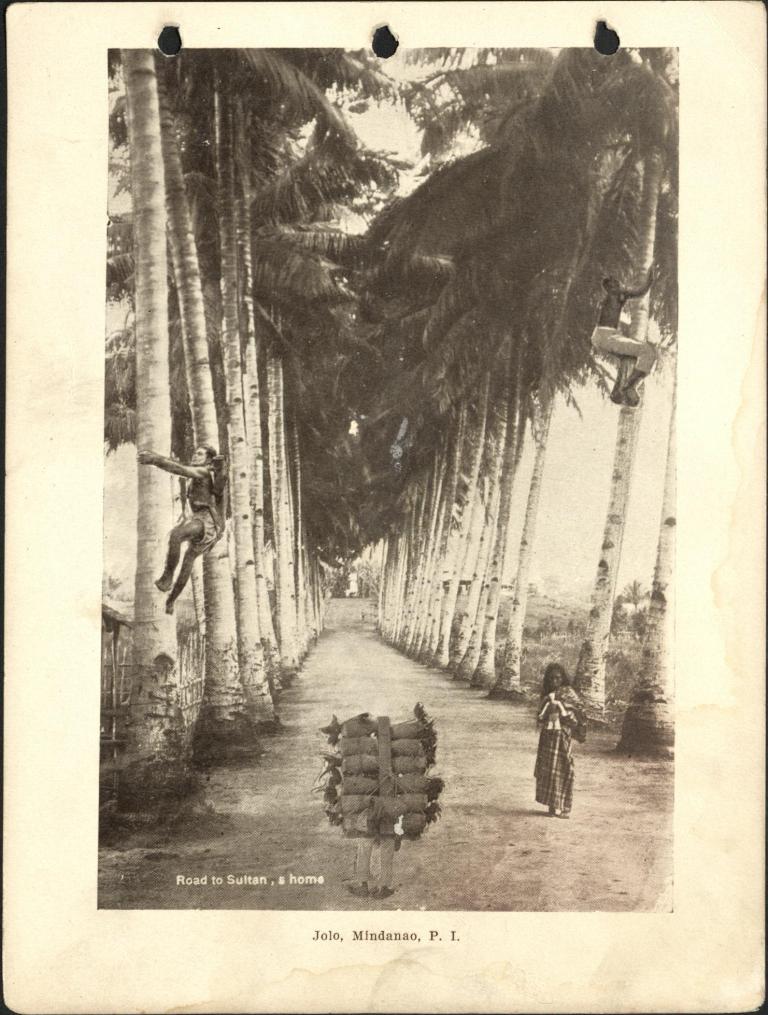 Road to Sultan’s home. Jolo, Mindanao, P. I.