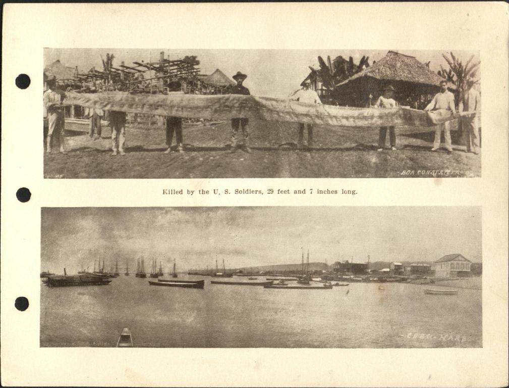 (Top) Killed by the U.S. soldiers, 29 feet and 7 inches long. Boa constrictor. (Bottm) Cebu harbor.