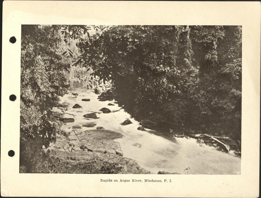 Rapids on the Argus [Agus] River, Mindanao, P. I.