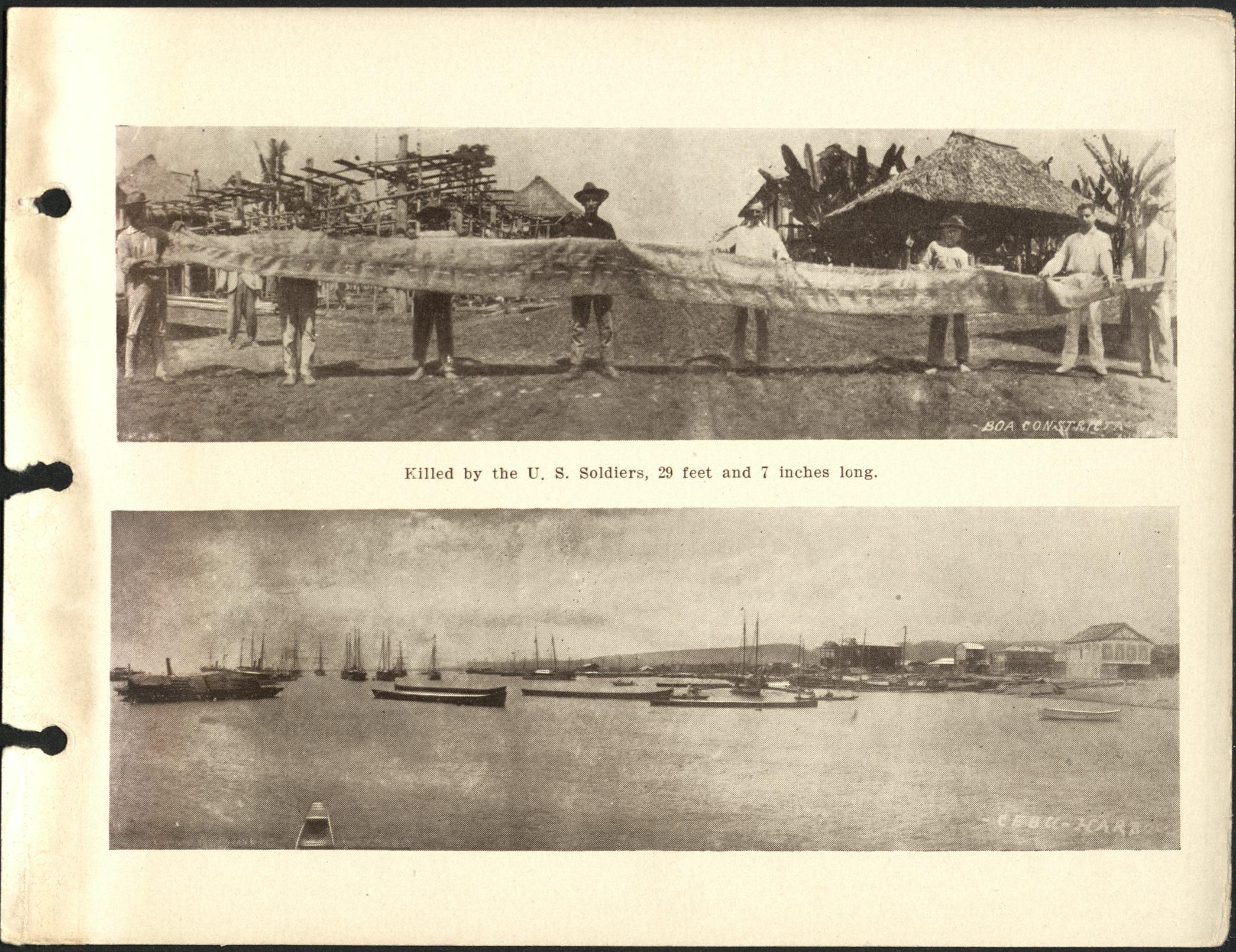 (Top) Killed by the U.S. soldiers, 29 feet and 7 inches long. Boa constrictor. (Bottm) Cebu harbor.