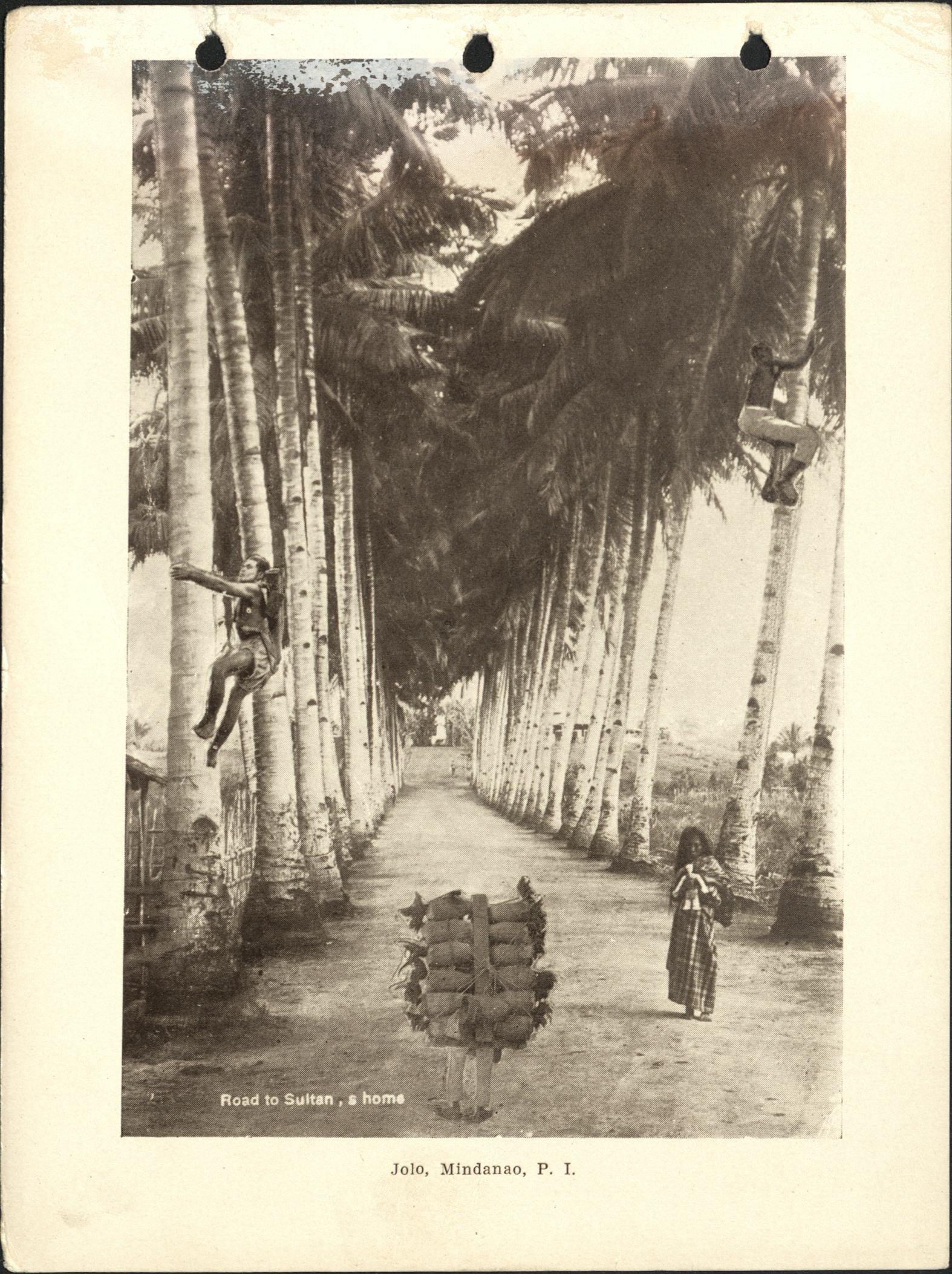 Road to Sultan’s home. Jolo, Mindanao, P. I.