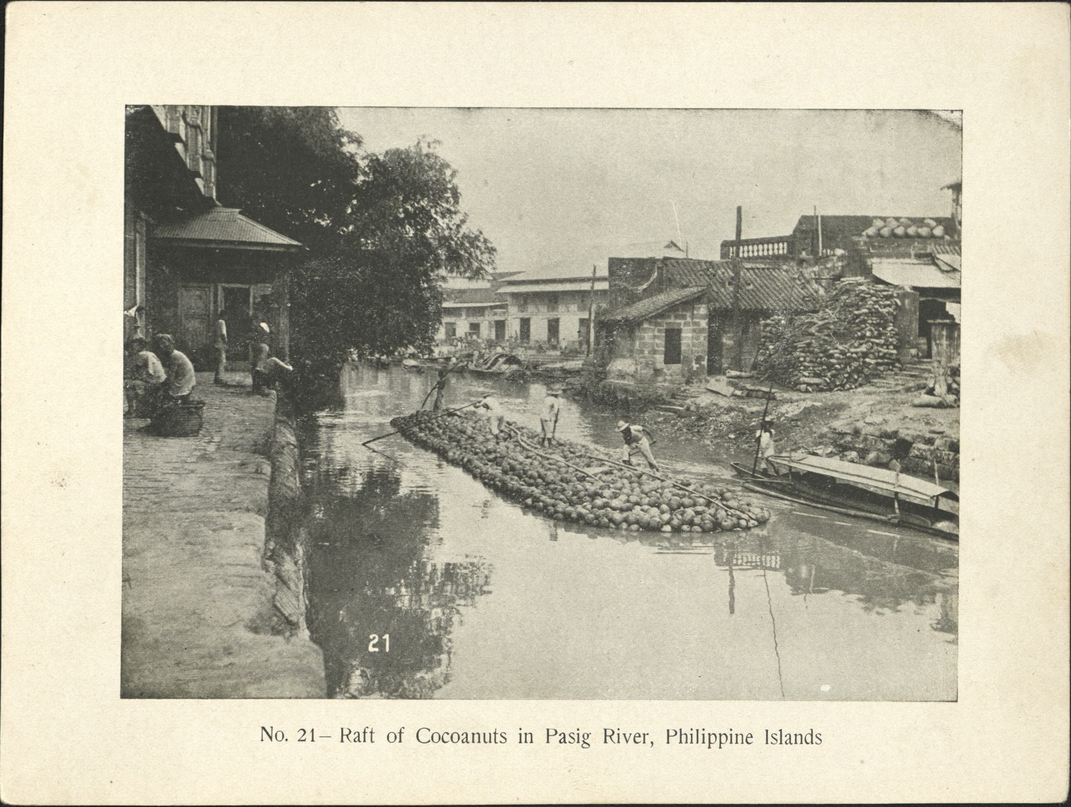 No. 21 – Raft of cocoanuts [coconuts] in Pasig River, Philippine Islands.