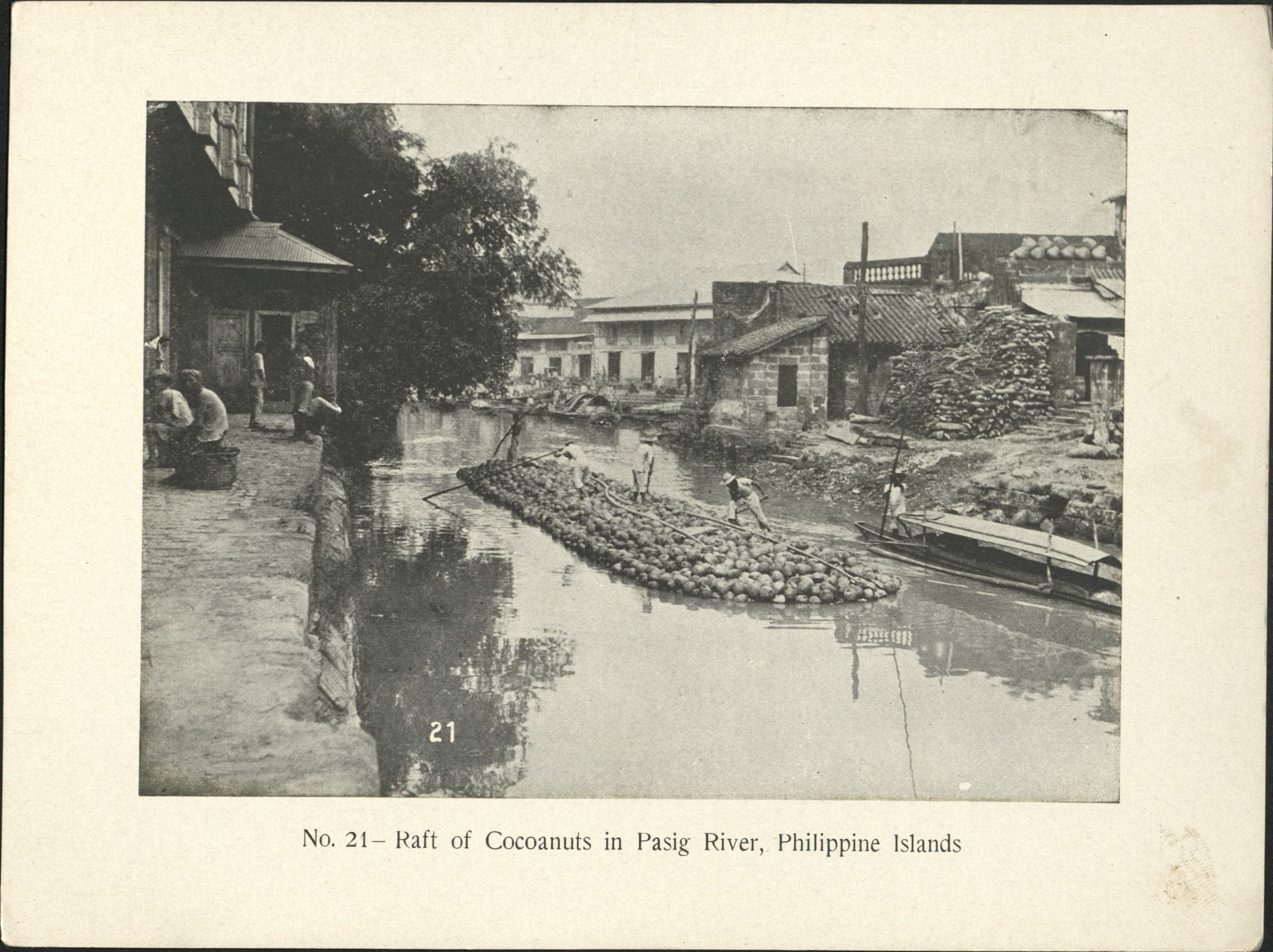 No. 21 – Raft of cocoanuts [coconuts] in Pasig River, Philippine Islands.