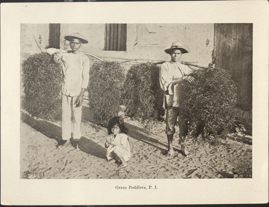 51. Grass peddlers, P. I.