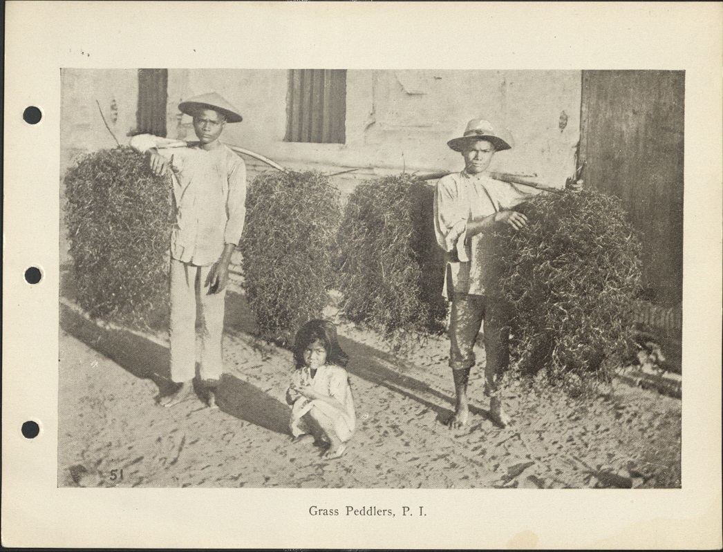 51. Grass peddlers, P. I.