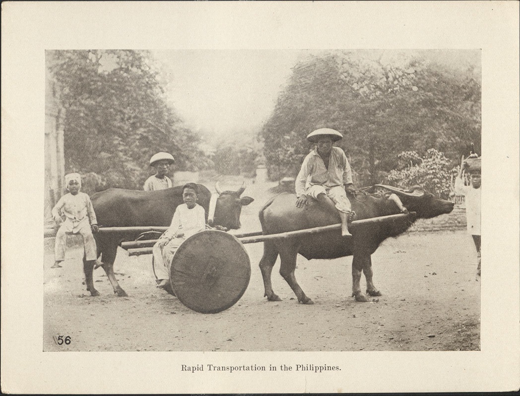 56. Rapid transportation in the Philippines.